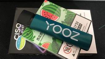 yooz柚子mini跟普通的区别(柚子mini测评)