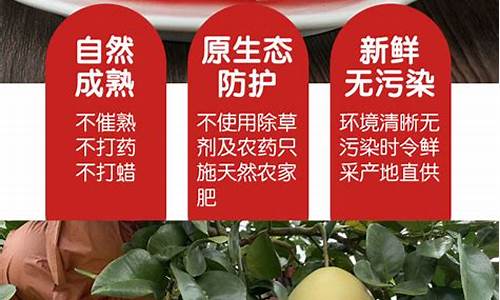 珠海YOOZ柚子专卖店(yooz柚子专卖店价格)