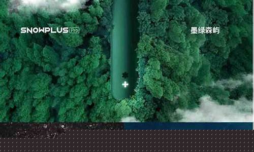 王飒雪加电子烟