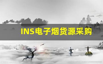 INS电子烟货源采购指南：如何找到优质产品