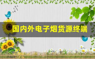 国内外电子烟货源终端资源分析 国内外电子烟货源终端资源分析