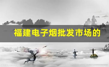 福建电子烟批发市场的货源选择与渠道拓展