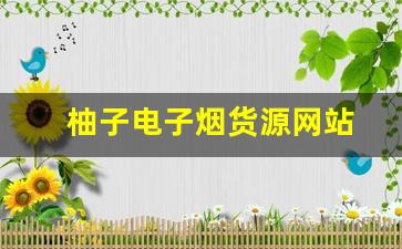 如何选择靠谱的柚子电子烟货源网站