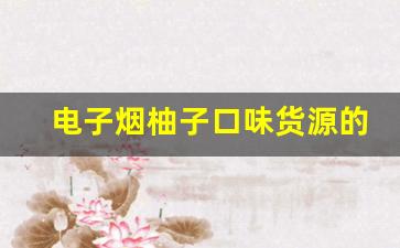 电子烟柚子口味货源的选择与采购技巧