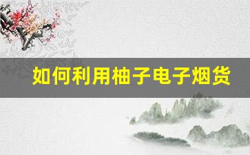 利用柚子电子烟货源网站拓展你的电商业务 利用柚子电子烟货源网站拓展你的电商业务