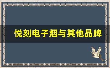 悦刻电子烟与其他品牌的比较分析
