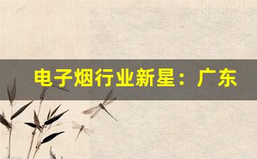 电子烟行业新星：广东悦刻电子烟的崛起历程