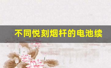 不同悦刻烟杆的电池续航与性能对比
