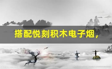 搭配悦刻积木电子烟，轻松享受个性化烟雾体验
